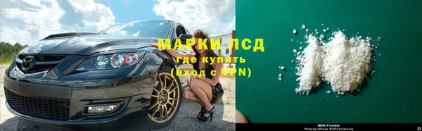 прущие грибы Баксан