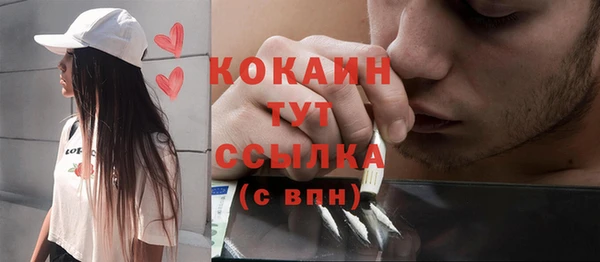 прущие грибы Баксан