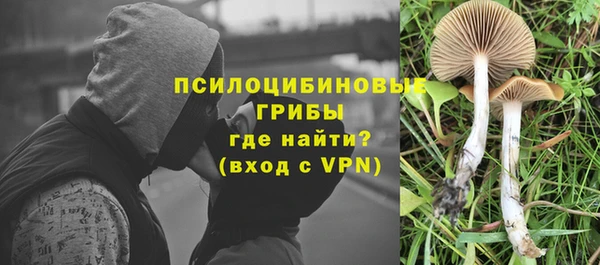 винт Балабаново