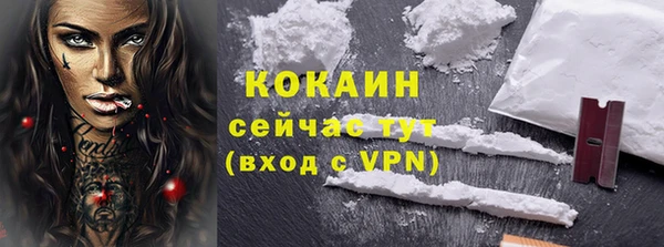 прущие грибы Баксан