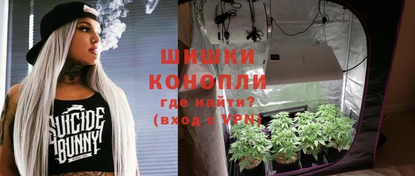 прущие грибы Баксан