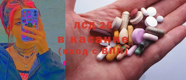 прущие грибы Баксан