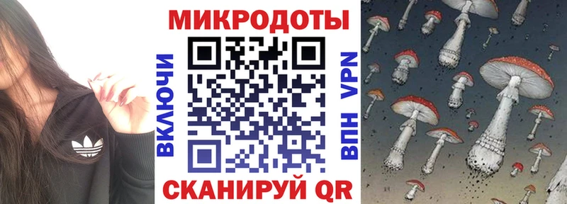 блэк спрут как зайти  Кохма  Галлюциногенные грибы Psilocybine cubensis 